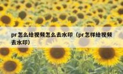 pr怎么给视频怎么去水印（pr怎样给视频去水印）