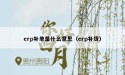 erp补单是什么意思（erp补货）