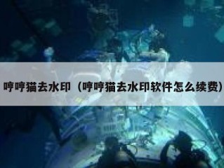 哼哼猫去水印（哼哼猫去水印软件怎么续费）