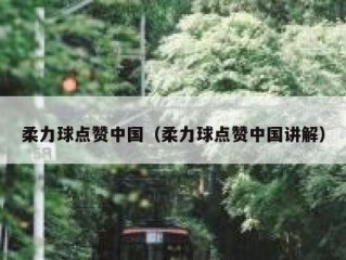 柔力球点赞中国（柔力球点赞中国讲解）