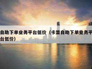 自助下单业务平台低价（卡盟自助下单业务平台低价）