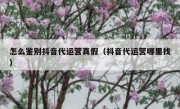 怎么鉴别抖音代运营真假（抖音代运营哪里找）