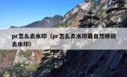 pr怎么去水印（pr怎么去水印最自然移动去水印）