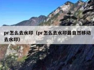 pr怎么去水印（pr怎么去水印最自然移动去水印）