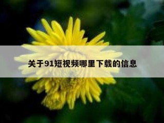 关于91短视频哪里下载的信息