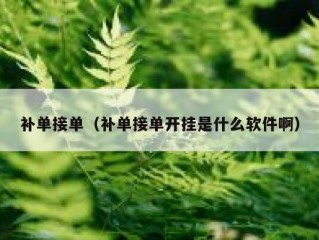 补单接单（补单接单开挂是什么软件啊）