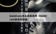 bandicam怎么去除水印（bandicam去水印设置）