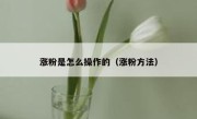 涨粉是怎么操作的（涨粉方法）