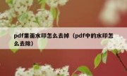 pdf里面水印怎么去掉（pdf中的水印怎么去除）