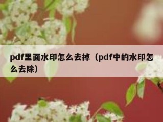 pdf里面水印怎么去掉（pdf中的水印怎么去除）