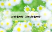 coub去水印（biubiu去水印）