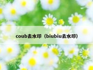 coub去水印（biubiu去水印）