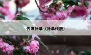 代发补单（补单代放）