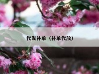 代发补单（补单代放）