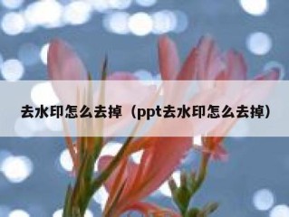 去水印怎么去掉（ppt去水印怎么去掉）