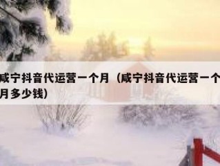 咸宁抖音代运营一个月（咸宁抖音代运营一个月多少钱）