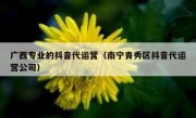 广西专业的抖音代运营（南宁青秀区抖音代运营公司）