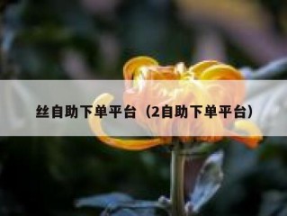 丝自助下单平台（2自助下单平台）