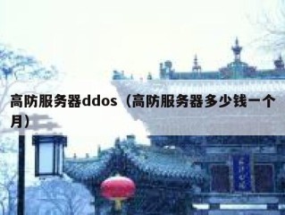 高防服务器ddos（高防服务器多少钱一个月）