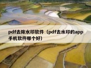 pdf去除水印软件（pdf去水印的app手机软件哪个好）