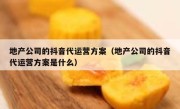 地产公司的抖音代运营方案（地产公司的抖音代运营方案是什么）