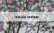 补单2020（补单资源）