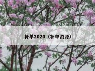 补单2020（补单资源）