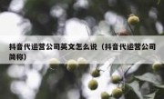 抖音代运营公司英文怎么说（抖音代运营公司简称）