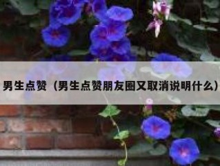 男生点赞（男生点赞朋友圈又取消说明什么）