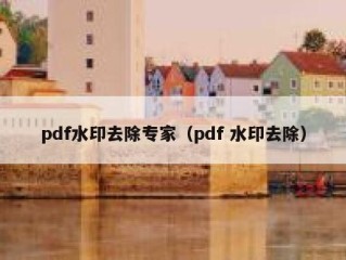 pdf水印去除专家（pdf 水印去除）