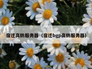 宿迁高防服务器（宿迁bgp高防服务器）