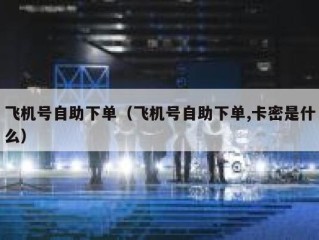 飞机号自助下单（飞机号自助下单,卡密是什么）