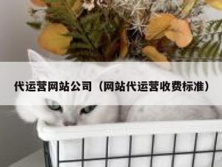 代运营网站公司（网站代运营收费标准）