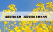 烟花短视频素材（烟花短视频素材无水印）