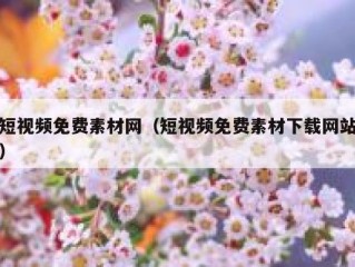 短视频免费素材网（短视频免费素材下载网站）