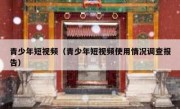 青少年短视频（青少年短视频使用情况调查报告）