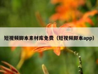 短视频脚本素材库免费（短视频脚本app）