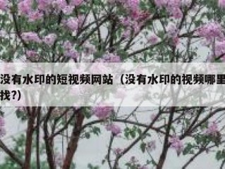 没有水印的短视频网站（没有水印的视频哪里找?）