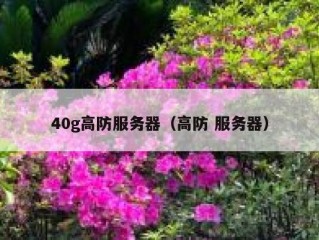 40g高防服务器（高防 服务器）