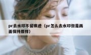 pr去水印不留痕迹（pr怎么去水印但是画面保持原样）