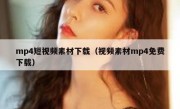 mp4短视频素材下载（视频素材mp4免费下载）