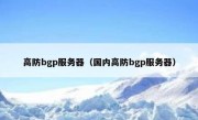 高防bgp服务器（国内高防bgp服务器）