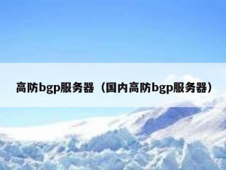 高防bgp服务器（国内高防bgp服务器）