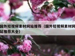 国外短视频素材网站推荐（国外短视频素材网站推荐大全）