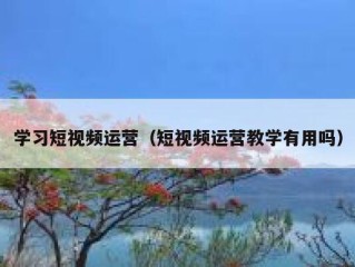 学习短视频运营（短视频运营教学有用吗）