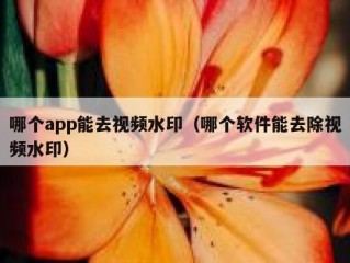 哪个app能去视频水印（哪个软件能去除视频水印）