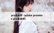 pre去水印（adobe premiere pro去水印）