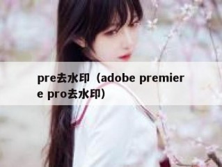 pre去水印（adobe premiere pro去水印）