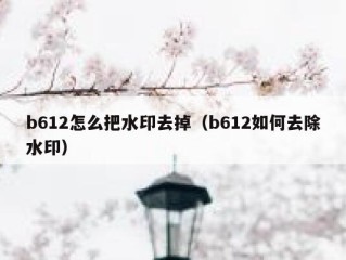 b612怎么把水印去掉（b612如何去除水印）