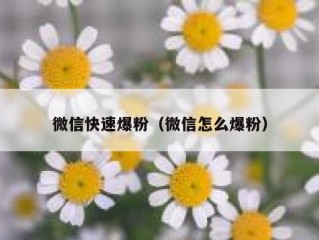 微信快速爆粉（微信怎么爆粉）